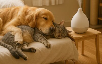 Blog - Tu farmacia en Alcoy 9 Aromaterapia para mascotas: los mejores aceites esenciales para perros y gatos
