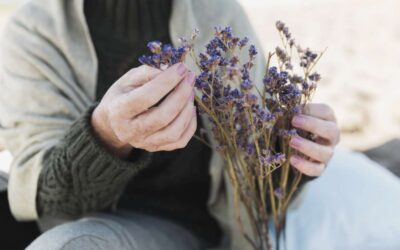Blog - Tu farmacia en Alcoy 6 Aromaterápia para la menopausia